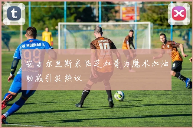 安吉尔里斯亲临芝加哥为魔术加油助威引发热议